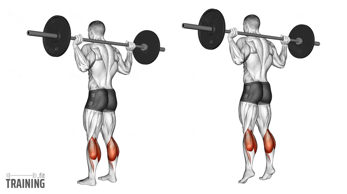 Leg Extension